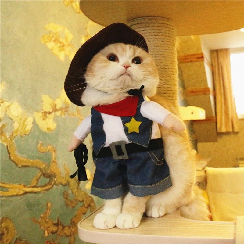 Cat Clothing